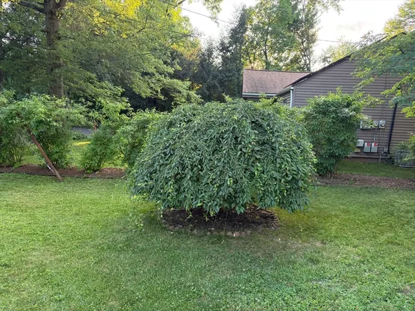 $325,000 | 322 Holcomb Road, Springfield, MA 01118