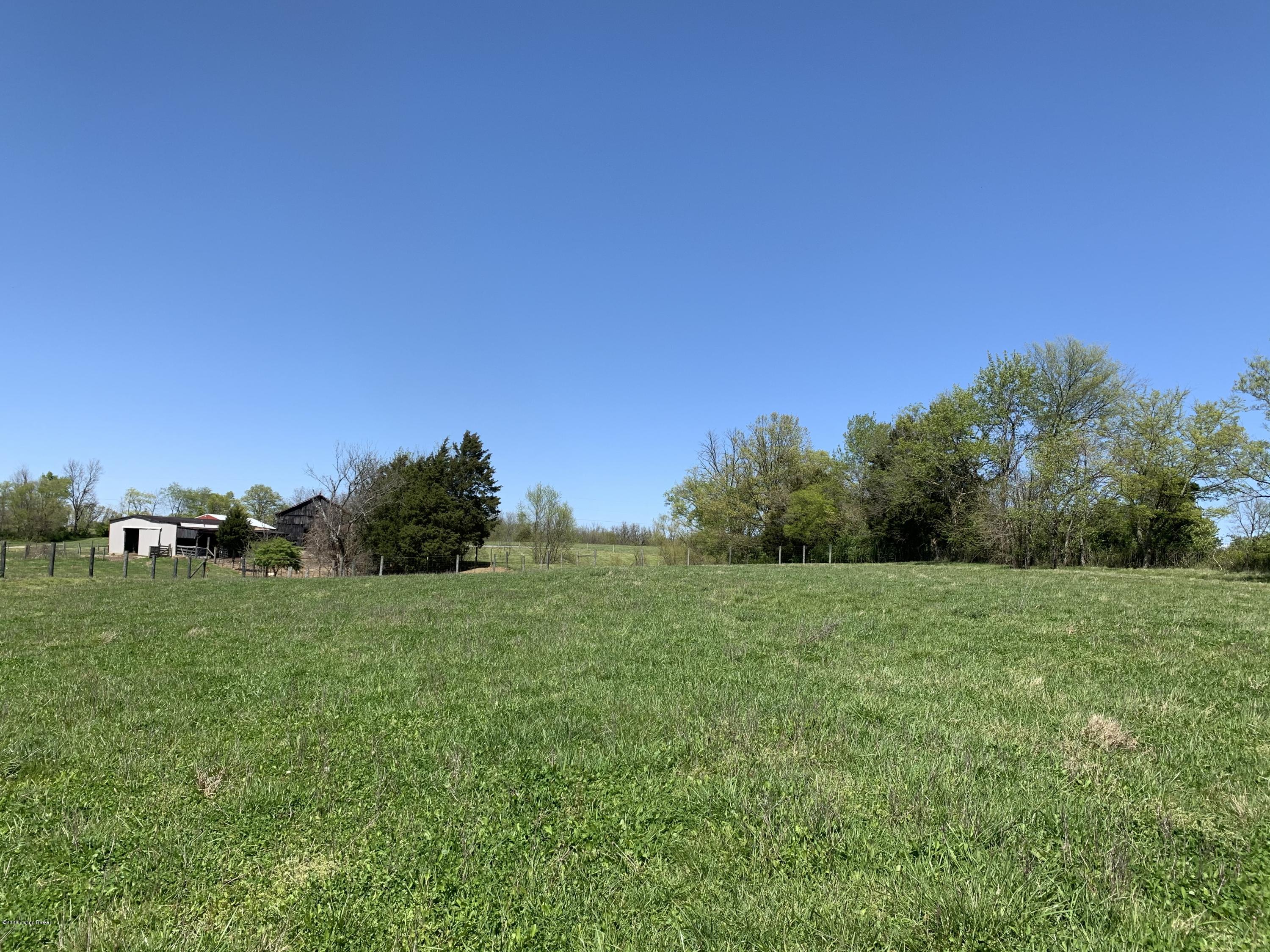 Lot #2 Irish Ridge Road Bardstown, KY 40004 - Photo 36 of 47 MIDDLE FIELD (6)