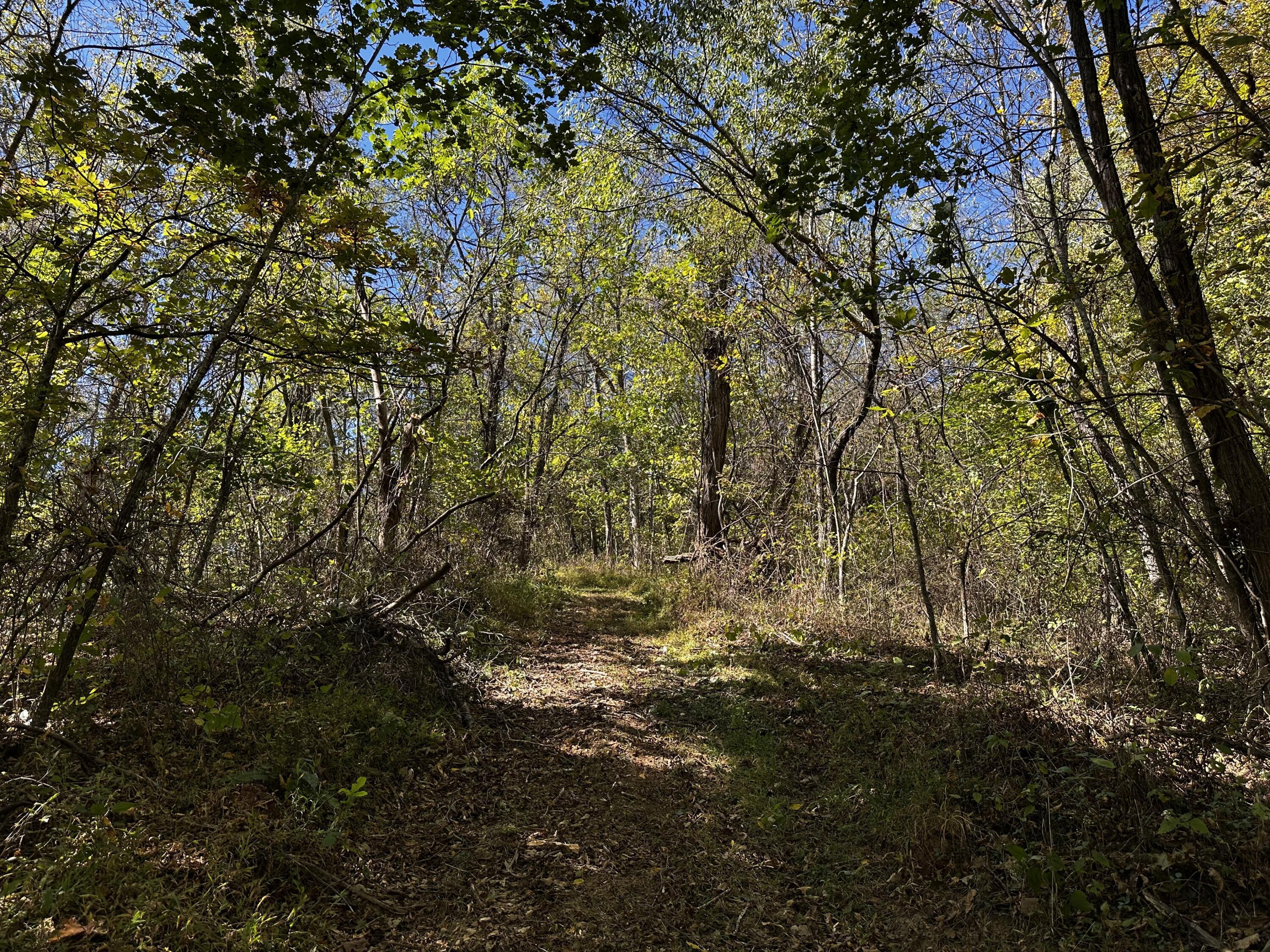 865 Hull Road, Unit TRACT 13 WOODS WAYNE FOREST) Patriot, OH 45658 - Photo 32 of 57 20241008_175352113_iOS