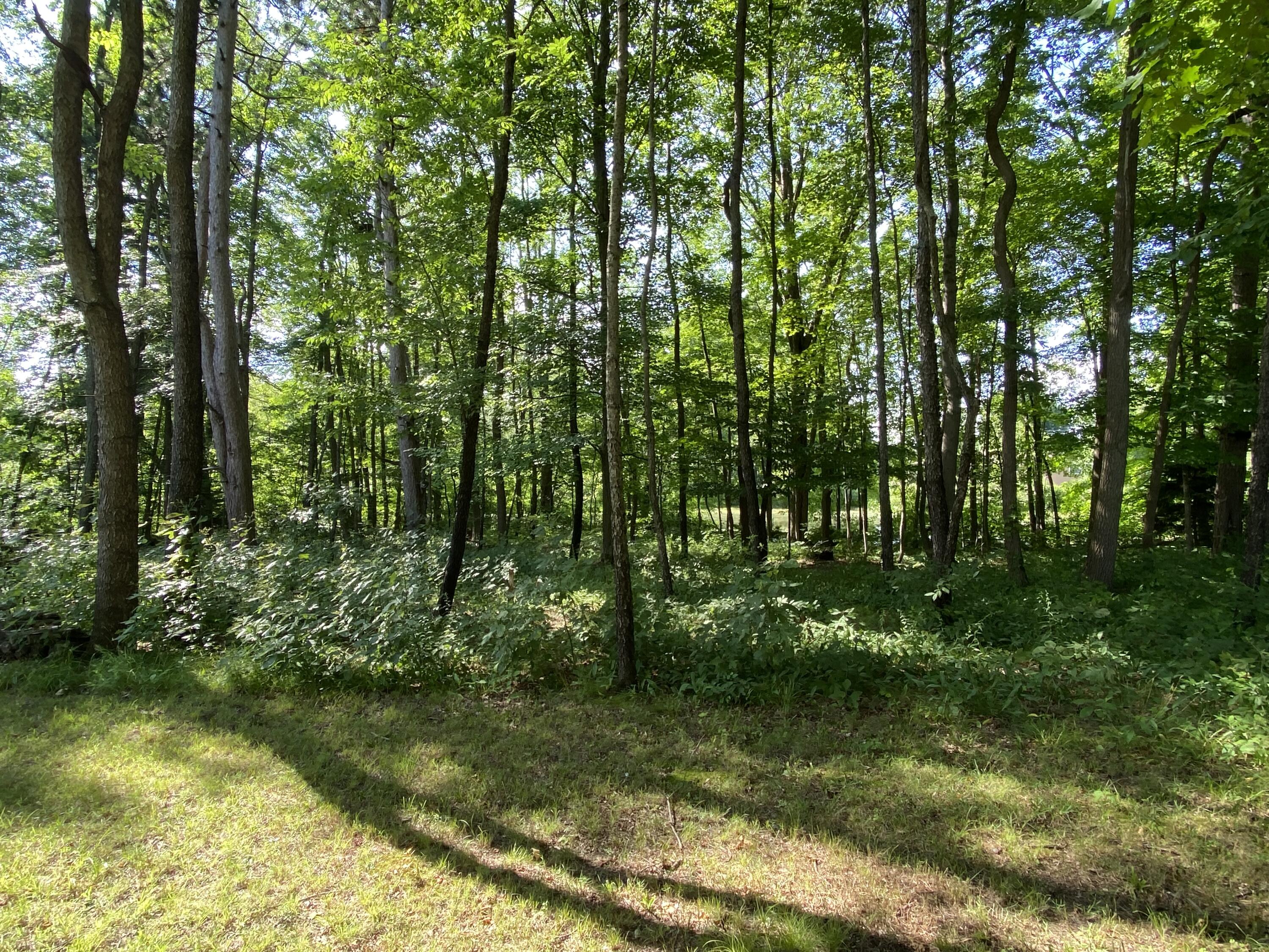 4544 North County Line Road Watervliet, MI 49098 - Photo 34 of 45 IMG_3518