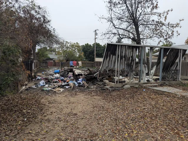a view of park with large trees