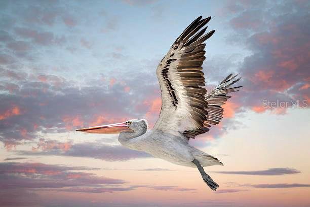 77 Medalist Road Rotonda West, FL 33947 - Photo 80 of 81 a view of staircase in kitchen