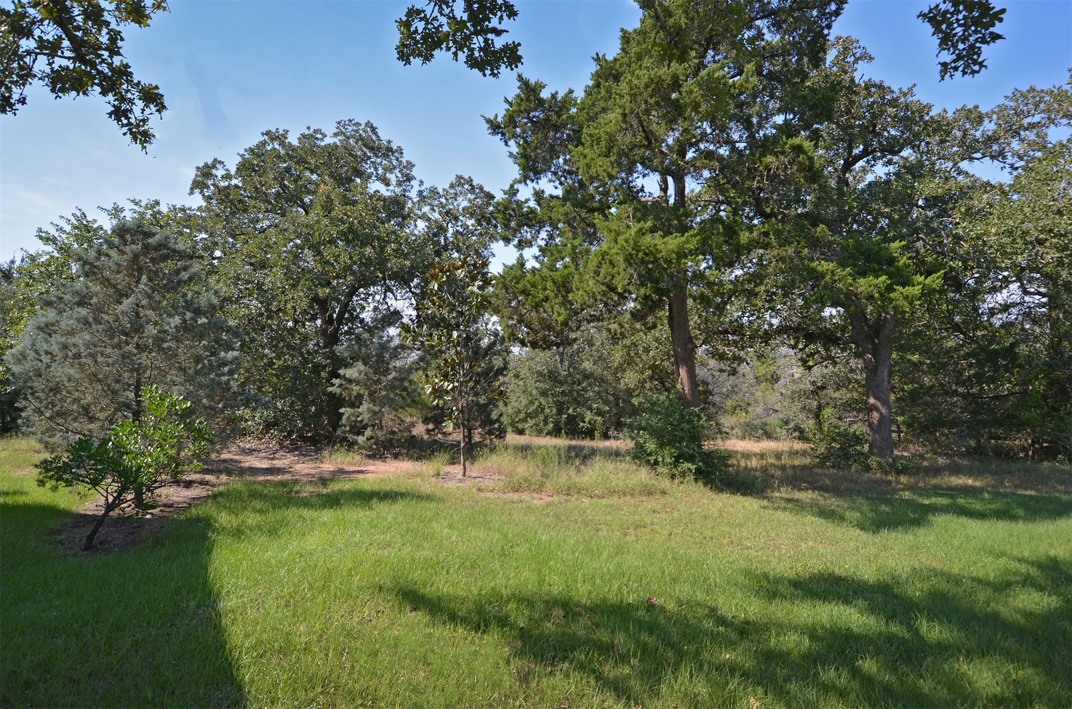 1880 Schoenberg Road Carmine, TX 78932 - Photo 33 of 36 a view of outdoor space and yard