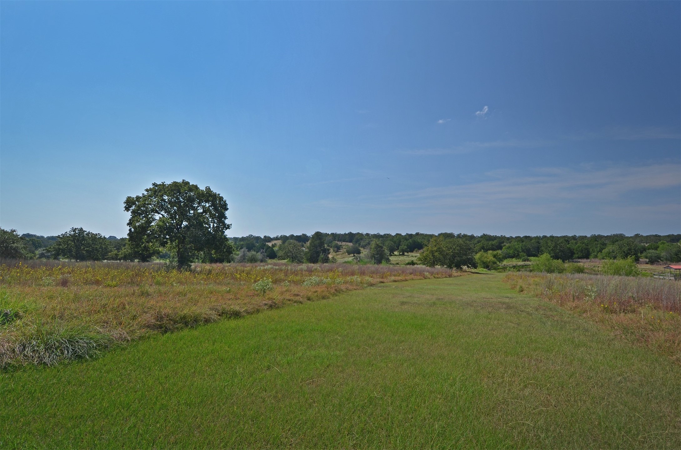 1880 Schoenberg Road Carmine, TX 78932 - Photo 35 of 36 a view of a field with outside area