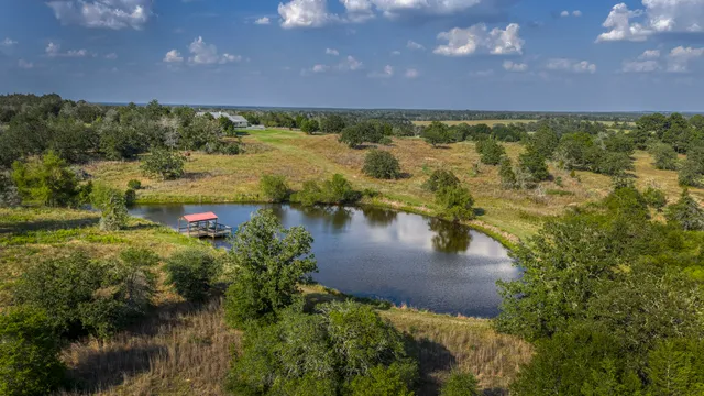 a view of a lake in a city
