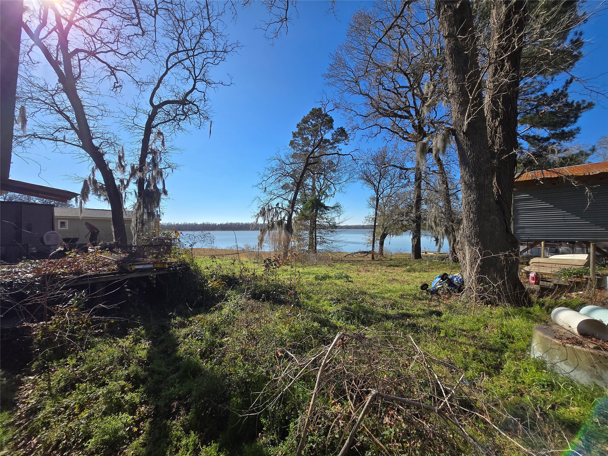 1188 Sportsman Drive Trinity, TX 75862 - Photo 12 of 26 a view of backyard with green space