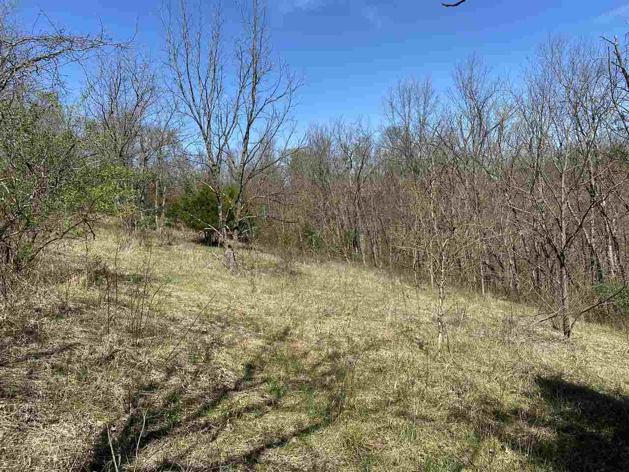 0 Mattox Road Brooksville, KY 41004 - Photo 6 of 22 Gallery Image 6
