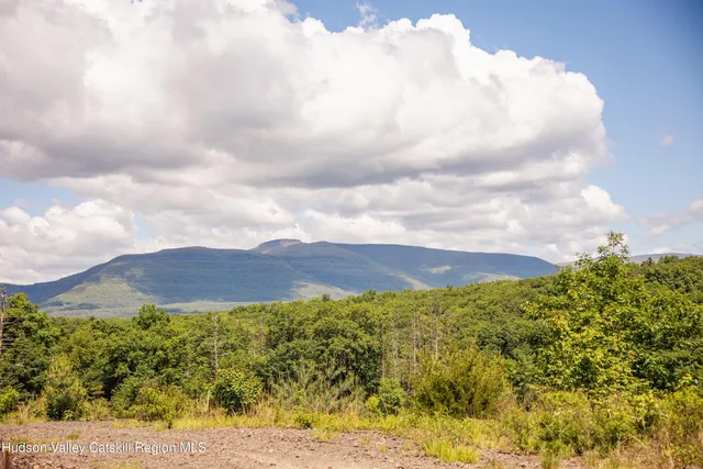 a view of a pathway both side of yard