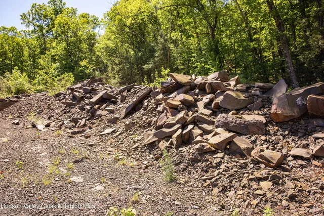 a view of a dry yard with trees