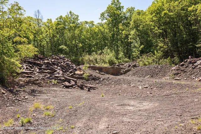 a view of a yard with a tree