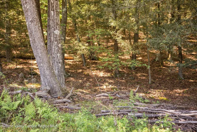 a view of a yard with an outdoor space
