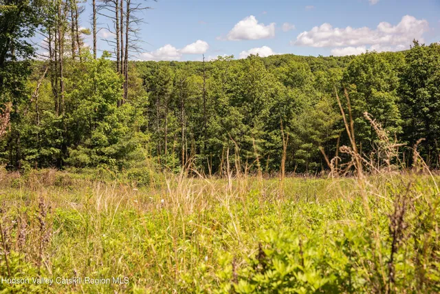 a view of a yard with flower plants and wooden fence