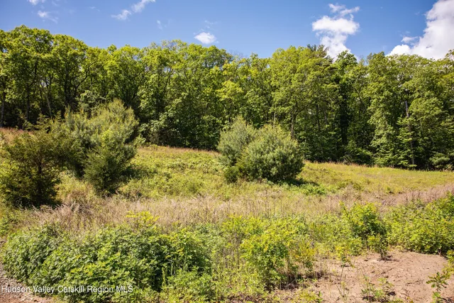 a plant with a building in the background