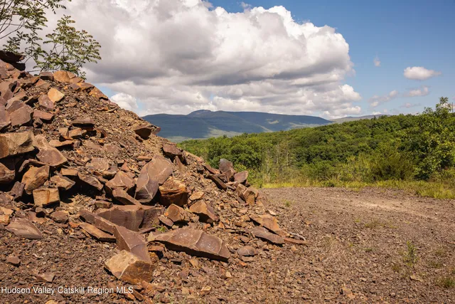 a view of a house with a tree