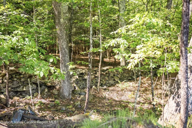 a view of a yard with trees