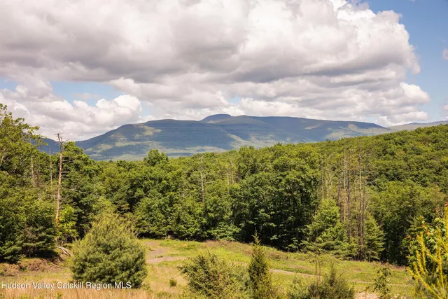 a view of a yard with an outdoor space