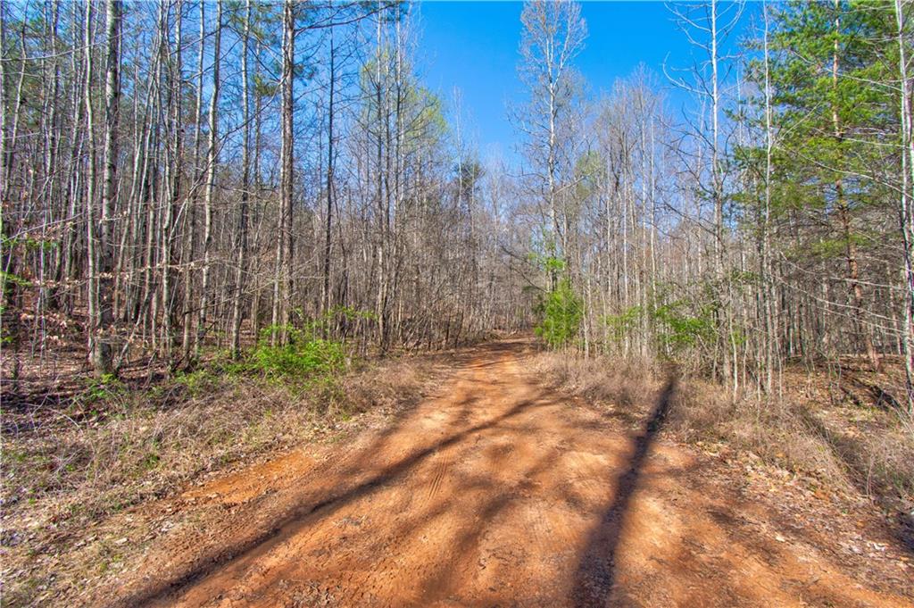 27.68 Chapman Ridge Lane Murrayville, GA 30564 - Photo 11 of 14 a backyard of a house with lots of green space