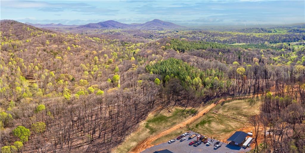 27.68 Chapman Ridge Lane Murrayville, GA 30564 - Photo 13 of 14 a view of city and mountain