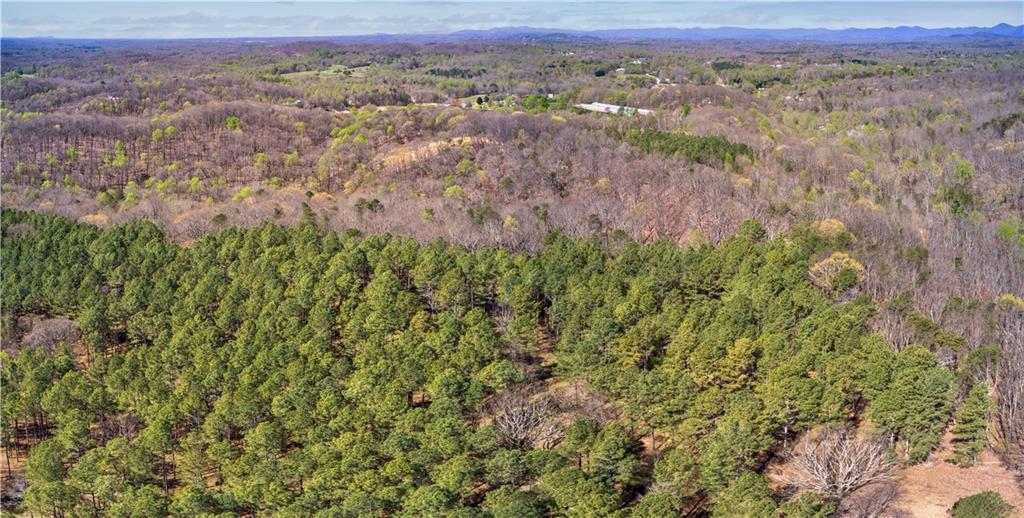 27.68 Chapman Ridge Lane Murrayville, GA 30564 - Photo 14 of 14 an aerial view of forest