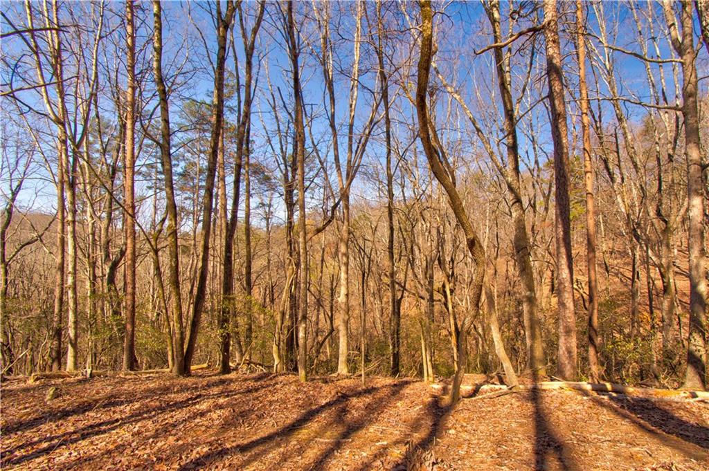 27.68 Chapman Ridge Lane Murrayville, GA 30564 - Photo 6 of 14 a view of backyard space