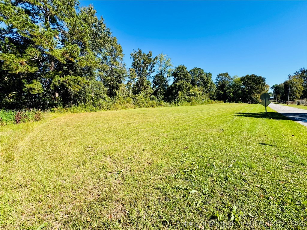 9th Street Lumberton, NC 28358 - Photo 3 of 17