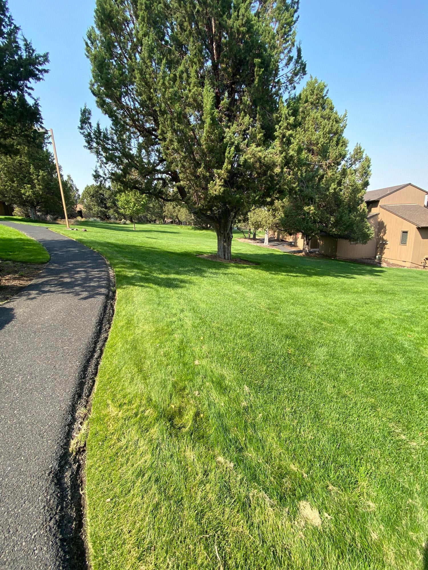 1904 Redtail Hawk Drive, Unit RV49A Redmond, OR 97756 - Photo 3 of 22 IMG_7610
