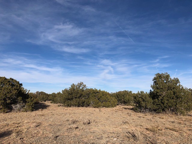 11 Anza Road Corona, NM 88318 - Photo 9 of 19