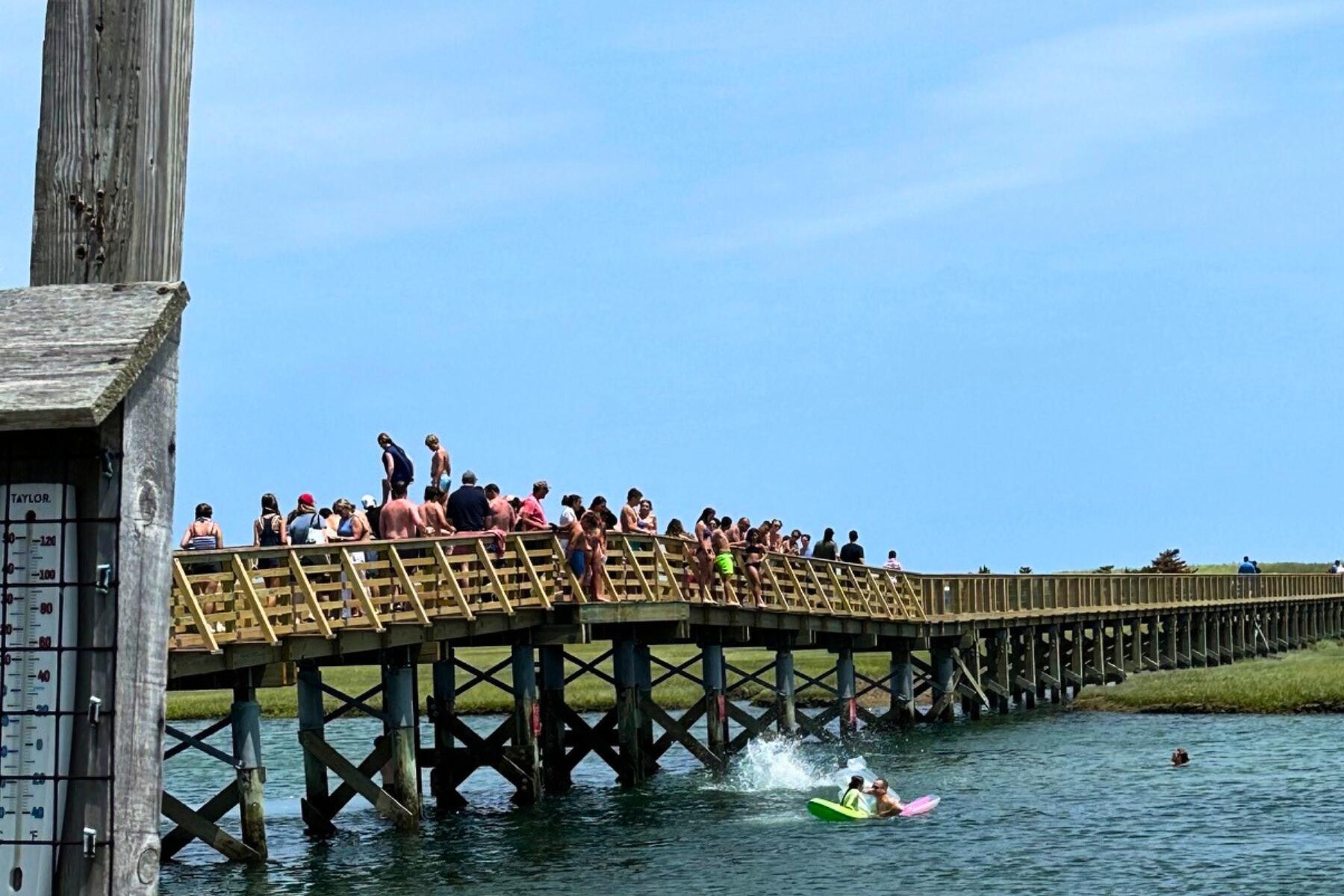 9 Coach Lane Sandwich, MA 02563 - Photo 40 of 47 Sandwich MA (105)