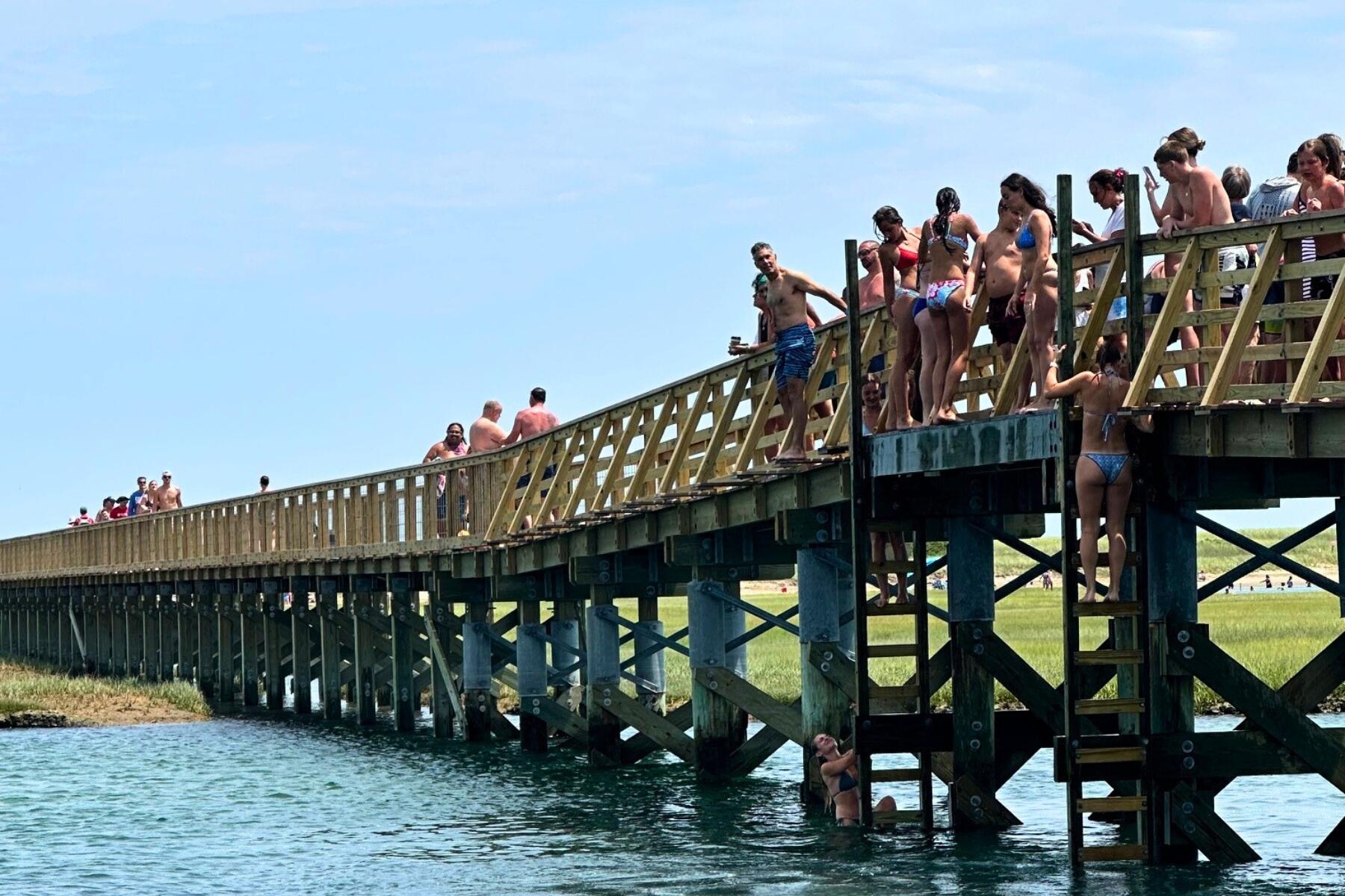 9 Coach Lane Sandwich, MA 02563 - Photo 41 of 47 Sandwich MA (101)