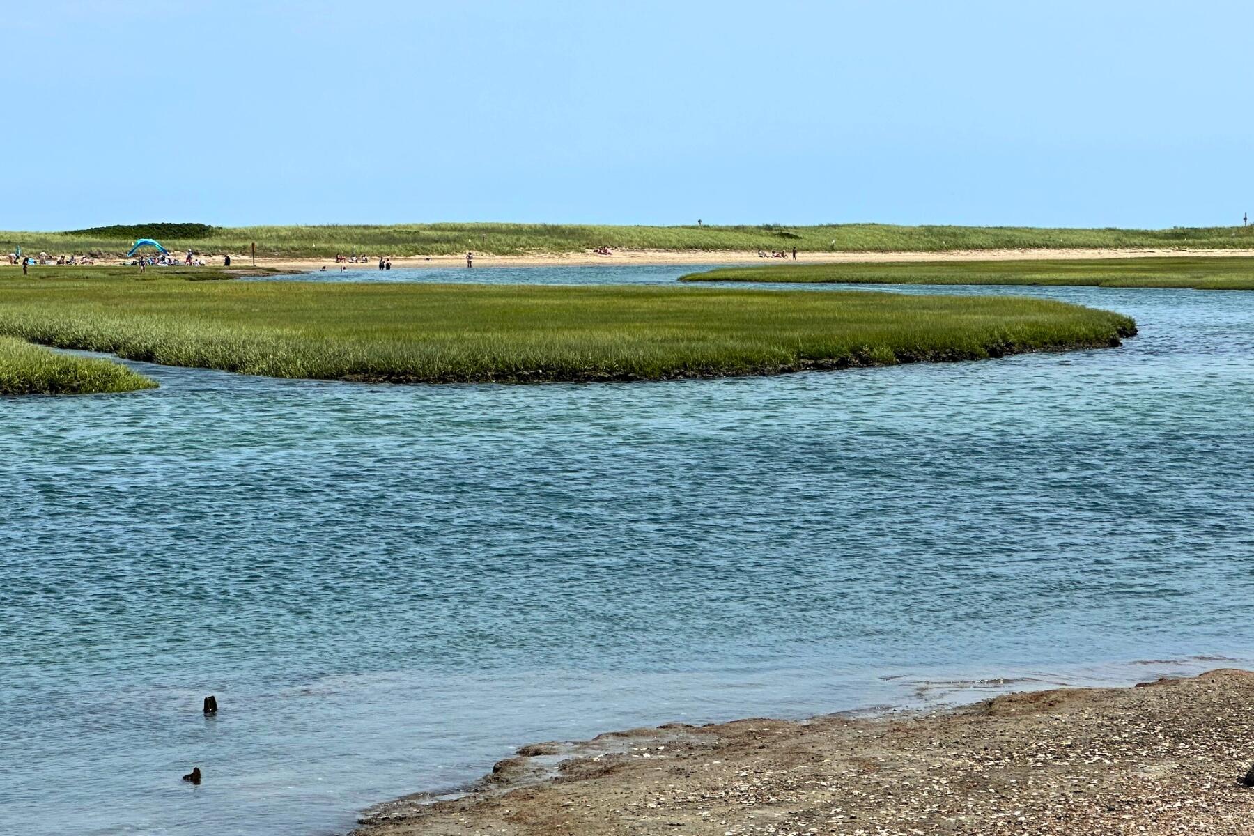 9 Coach Lane Sandwich, MA 02563 - Photo 42 of 47 Sandwich MA (103)