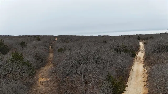 a view of a dry yard with mountains in the background