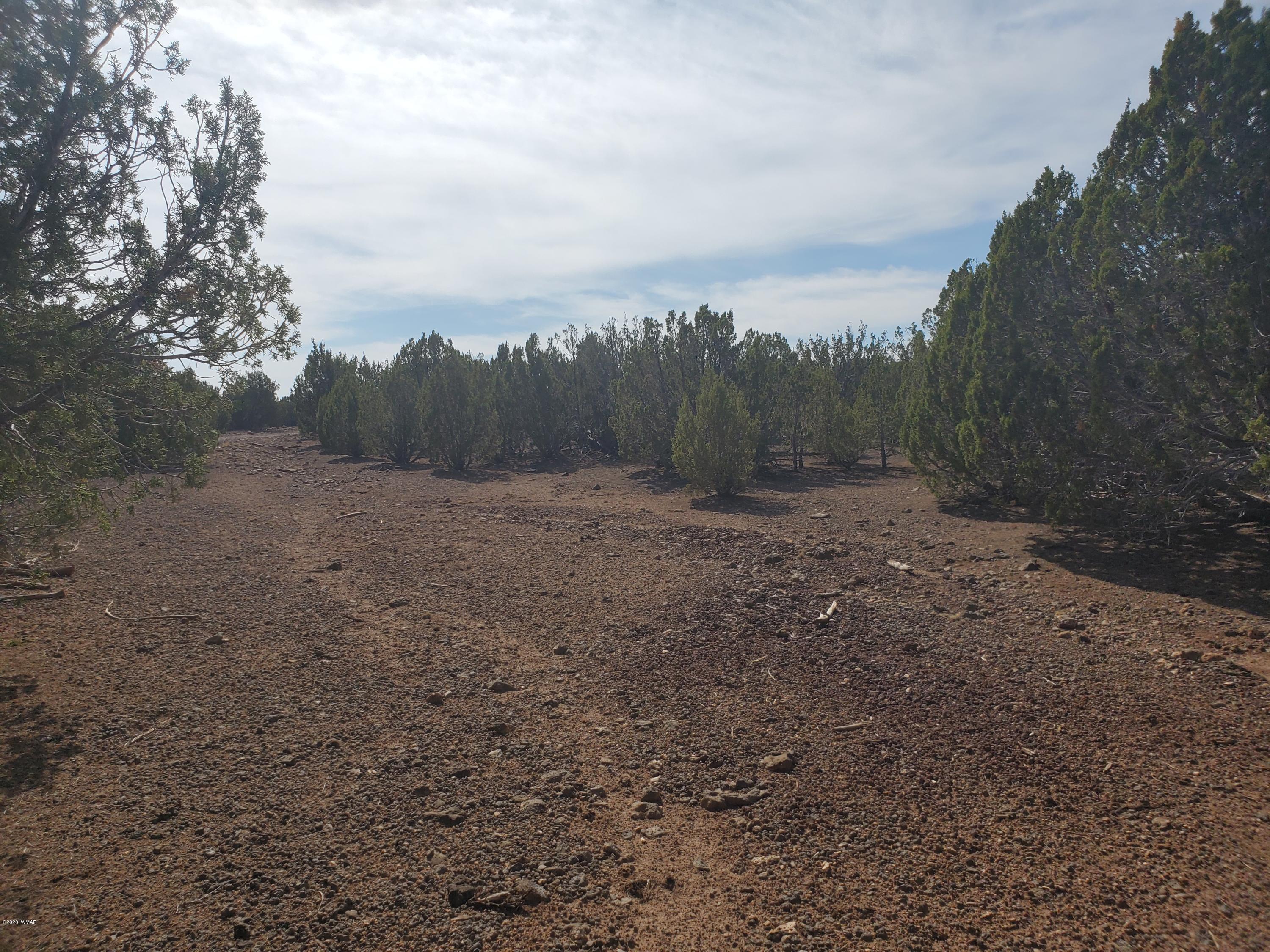 1332 Lodge Pole Road Show Low, AZ 85901 - Photo 3 of 8