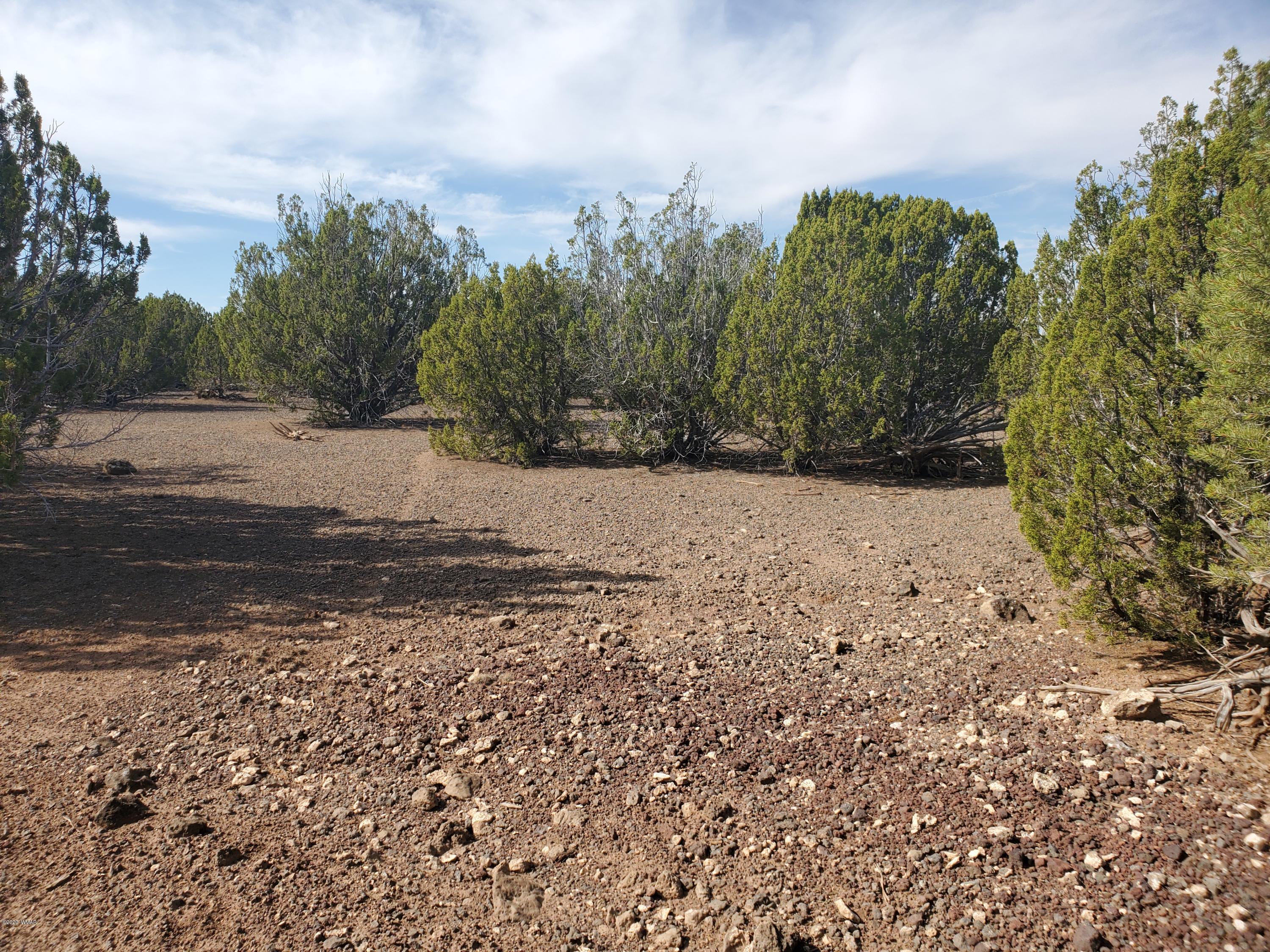 1332 Lodge Pole Road Show Low, AZ 85901 - Photo 4 of 8