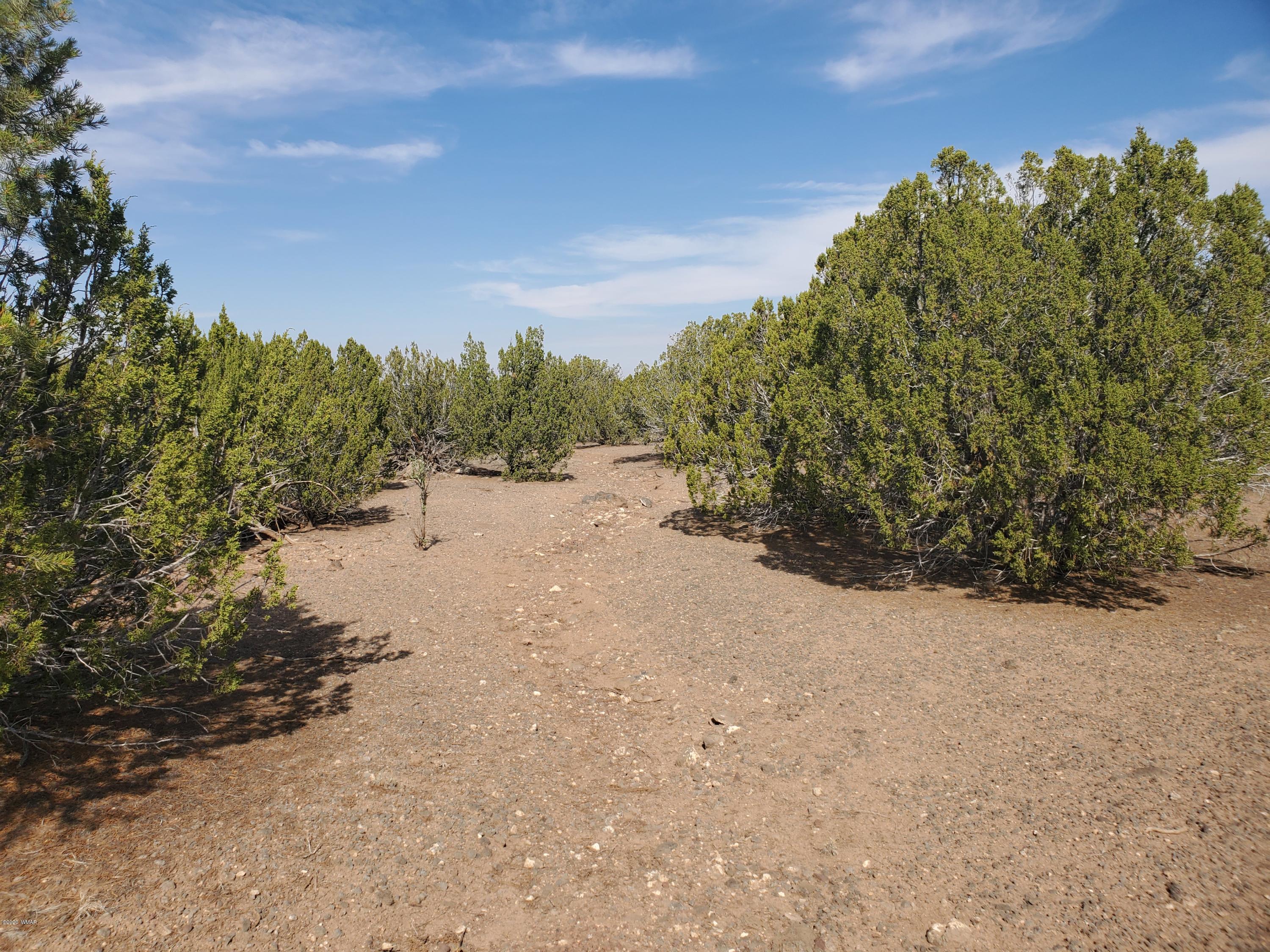 1332 Lodge Pole Road Show Low, AZ 85901 - Photo 5 of 8