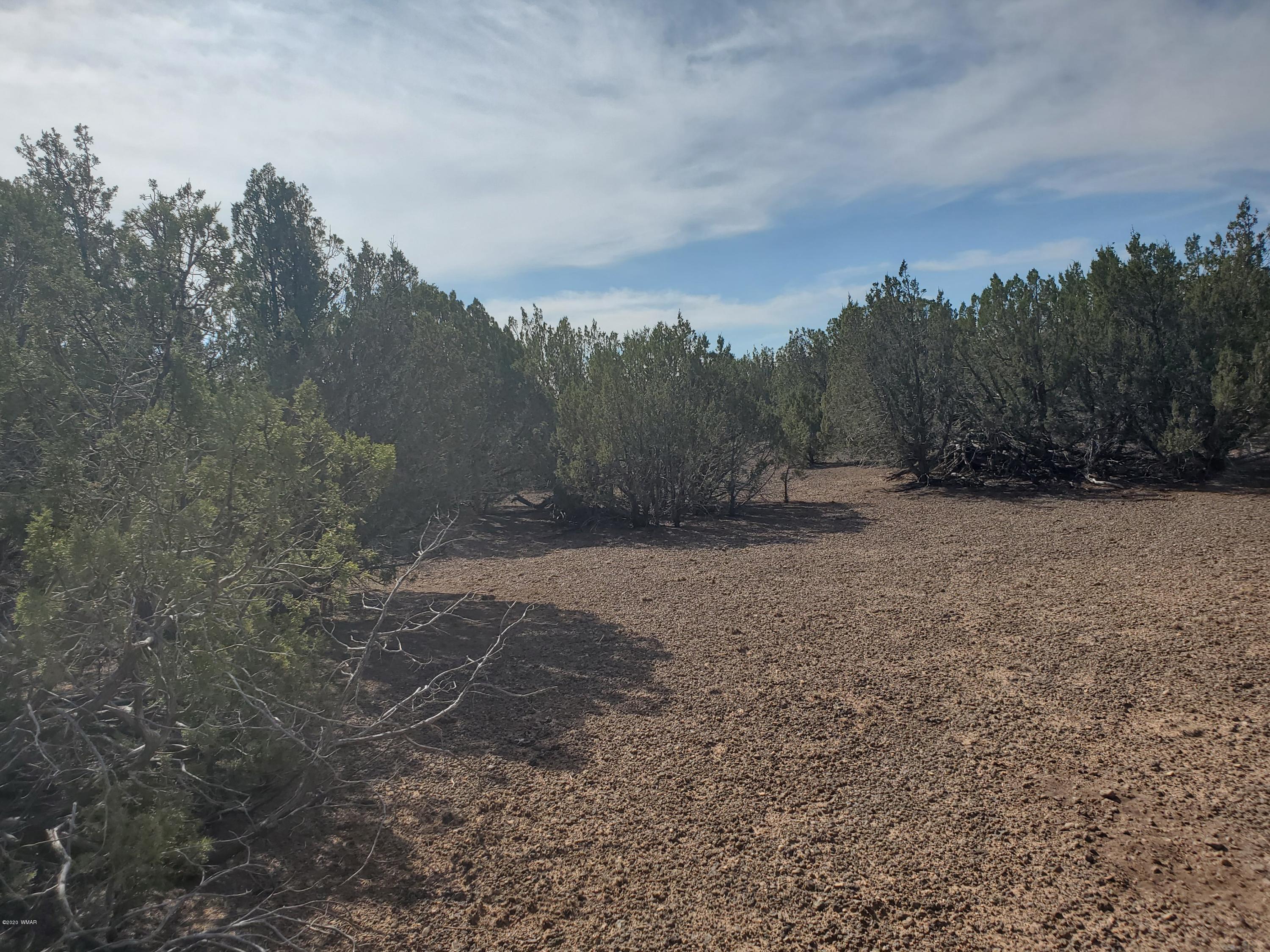 1332 Lodge Pole Road Show Low, AZ 85901 - Photo 7 of 8