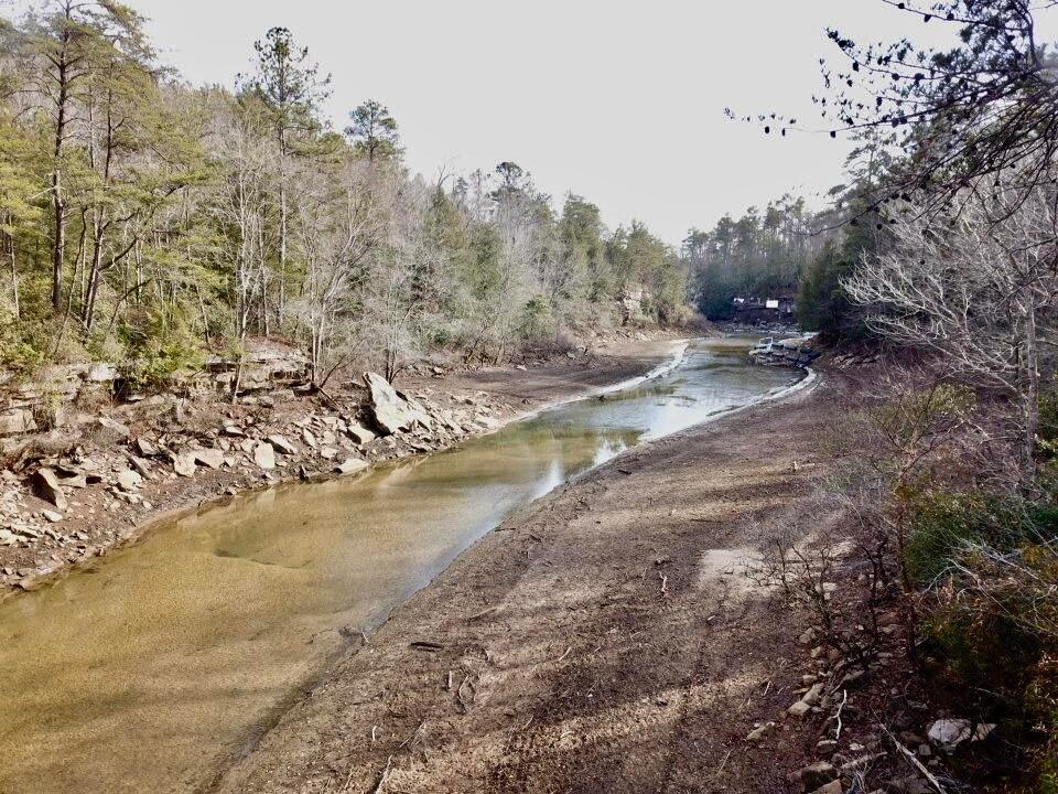 Jim Davis Road Arley, AL 35541 - Photo 8 of 23 Gallery Image 8