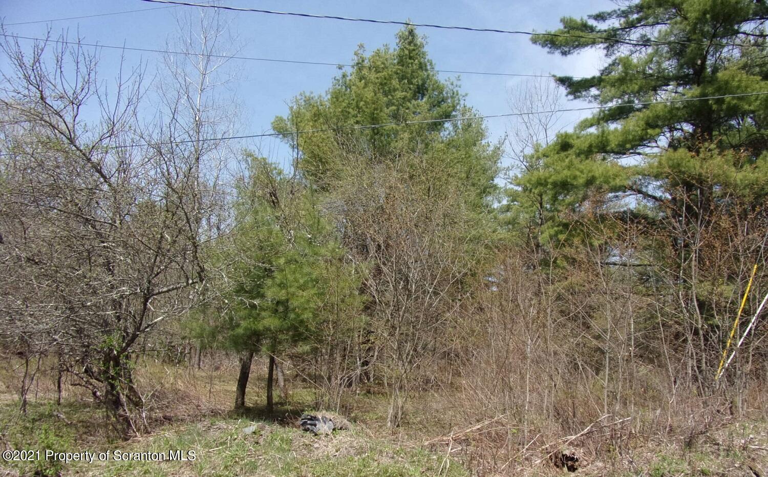 Corby Road Friendsville, PA 18818 - Photo 1 of 8 Land #1