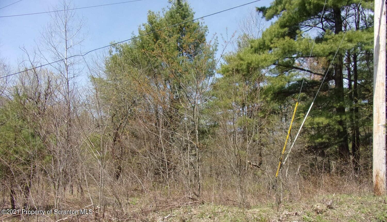 Corby Road Friendsville, PA 18818 - Photo 2 of 8 Land #2