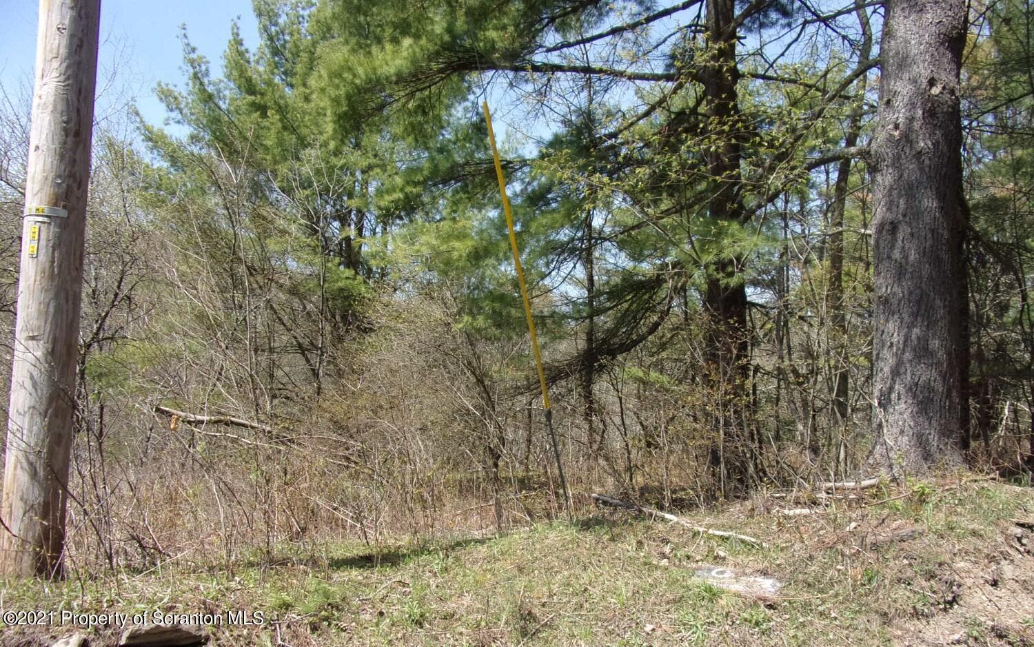 Corby Road Friendsville, PA 18818 - Photo 3 of 8 #3