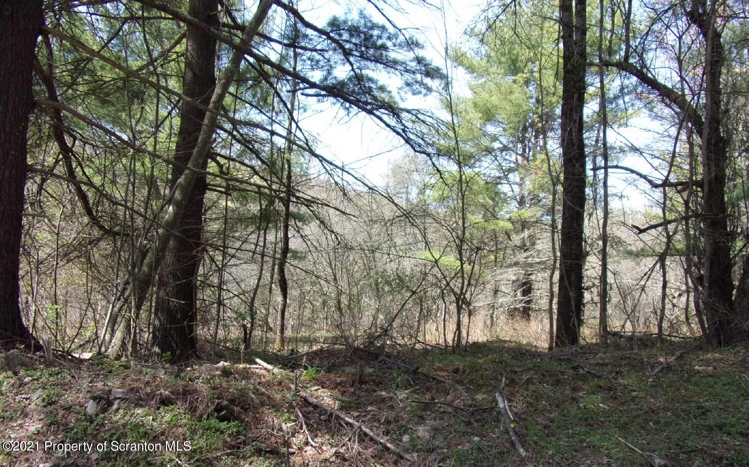 Corby Road Friendsville, PA 18818 - Photo 4 of 8 #4