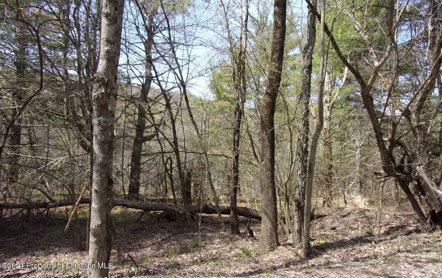 Corby Road Friendsville, PA 18818 - Photo 6 of 8 #6
