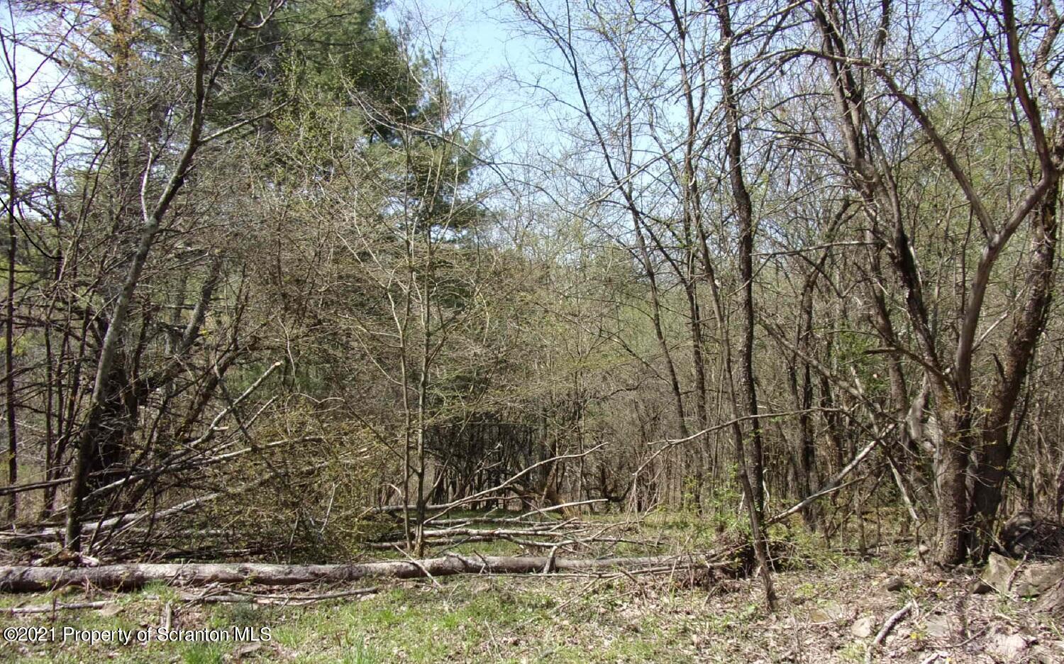 Corby Road Friendsville, PA 18818 - Photo 7 of 8 #7