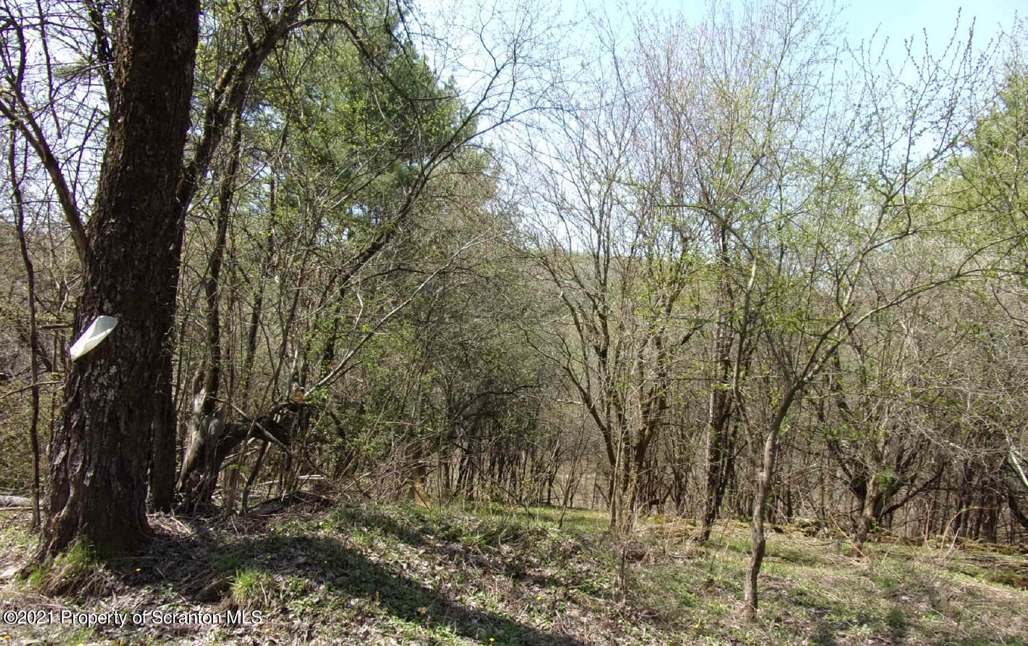 Corby Road Friendsville, PA 18818 - Photo 8 of 8 #8