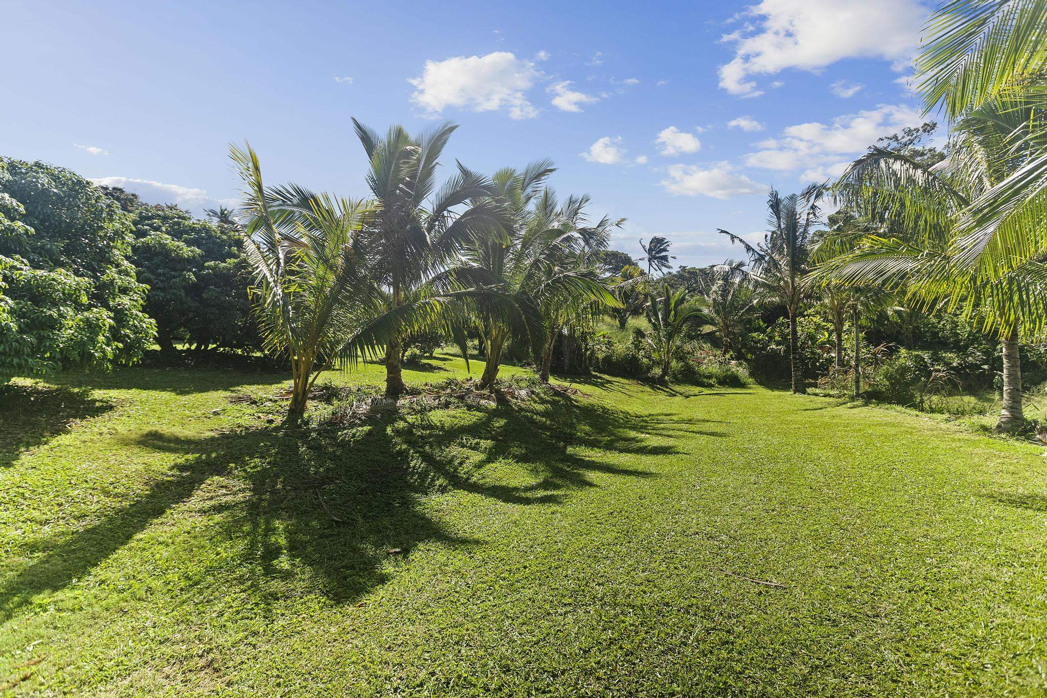 4174 Hana Highway Haiku, HI 96708 - Photo 27 of 30