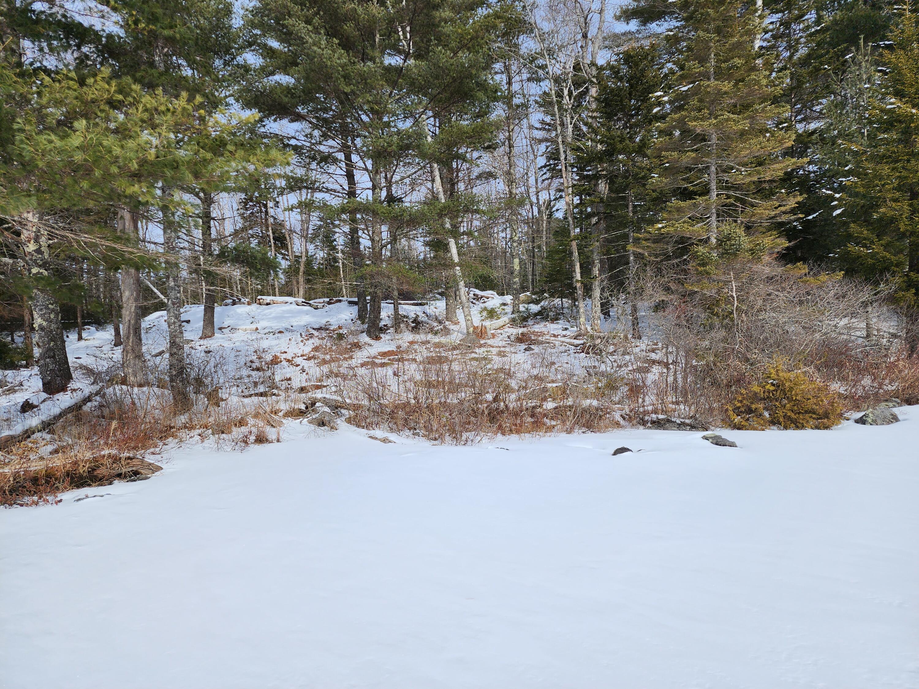 Lot 14 Birch Point Road Cooper, ME 04657 - Photo 11 of 12 20230228_105034