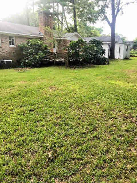 3 Cavalry Circle Daphne, AL 36527 - Photo 9 of 12