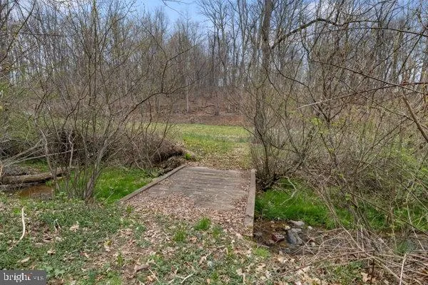 a pathway of a yard