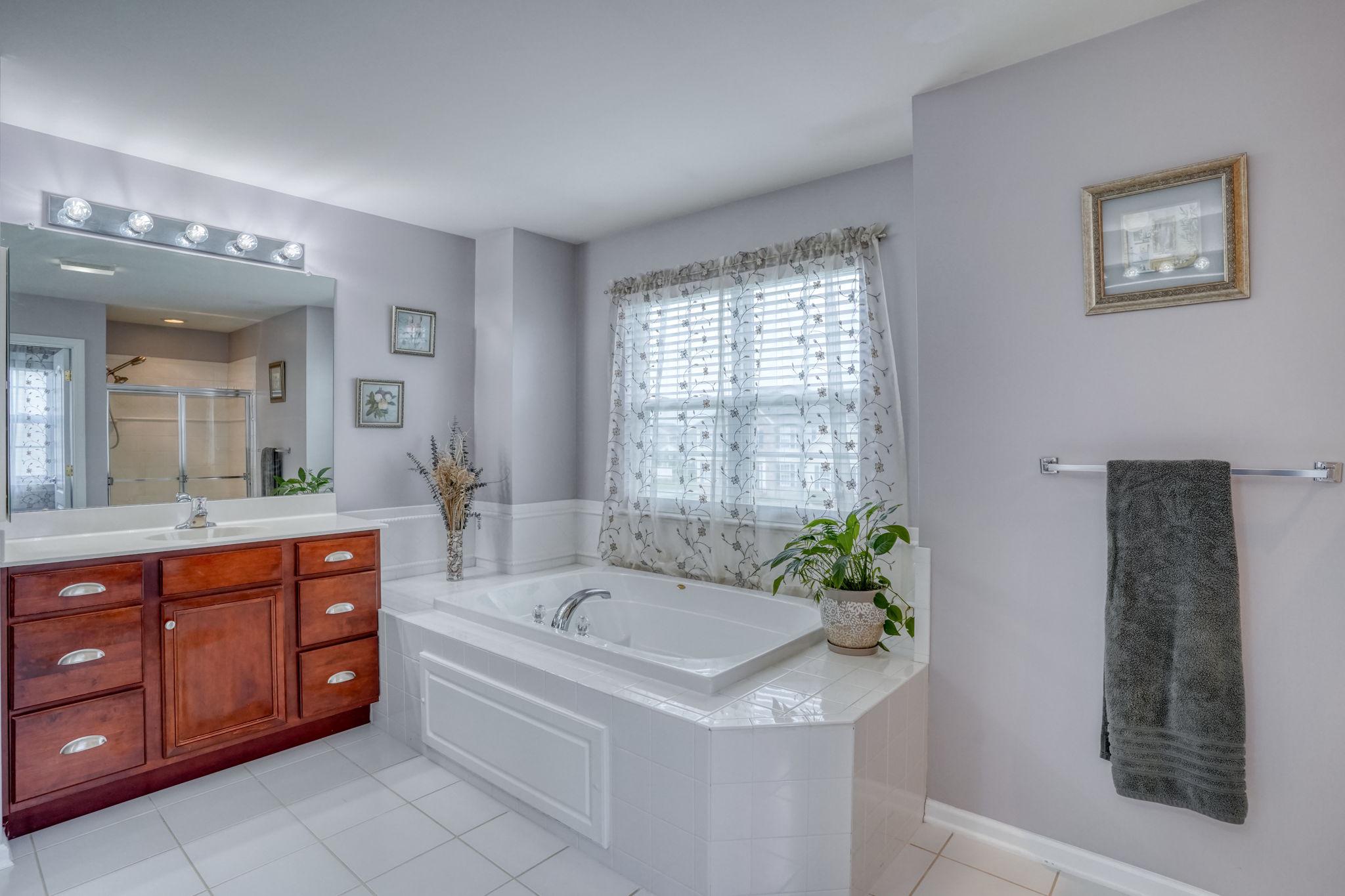 213 Loft Street Townsend, DE 19734 - Photo 52 of 76 Jacuzzi tub with natural light.