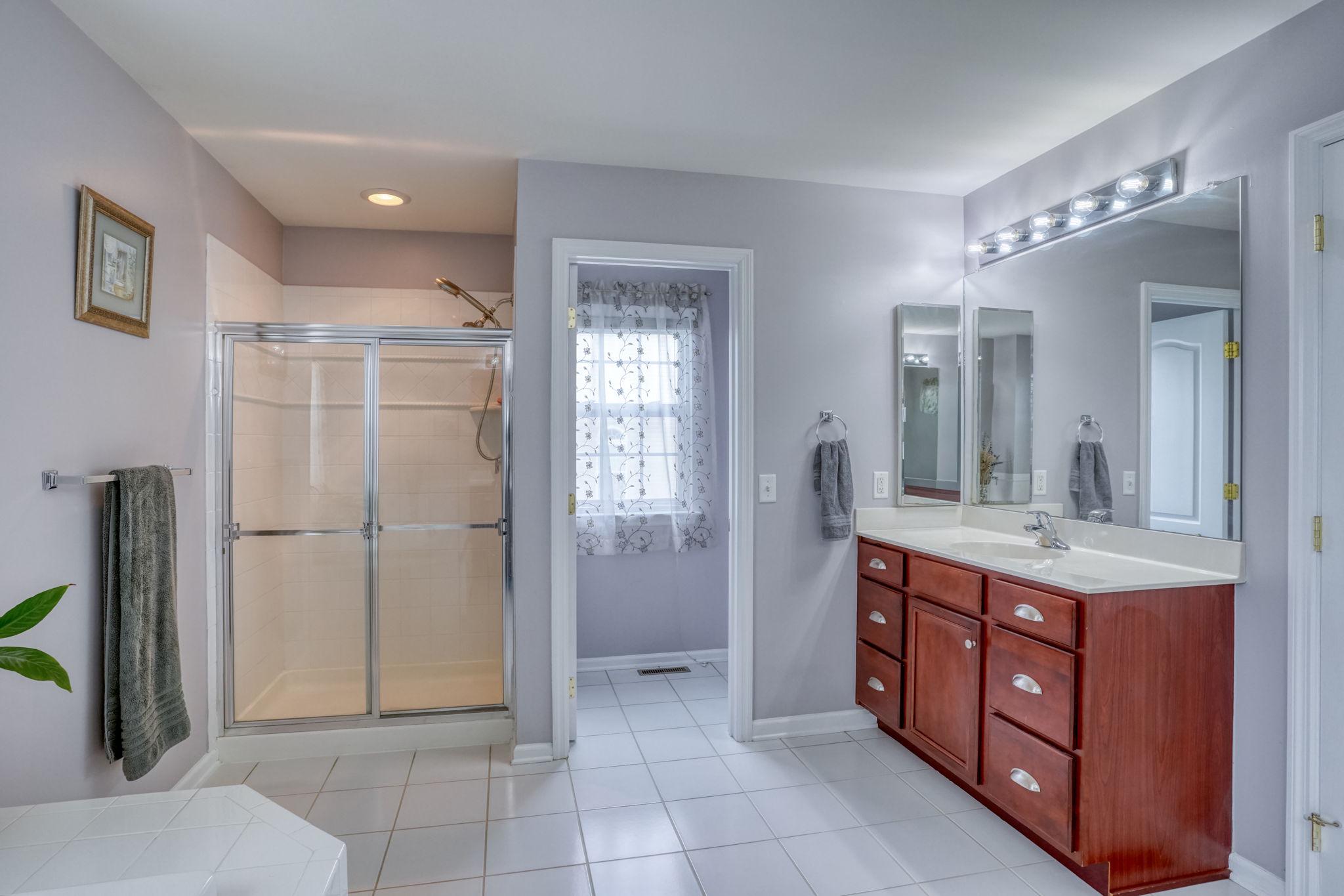 213 Loft Street Townsend, DE 19734 - Photo 53 of 76 a spacious bathroom with a double vanity sink a mirror and a shower