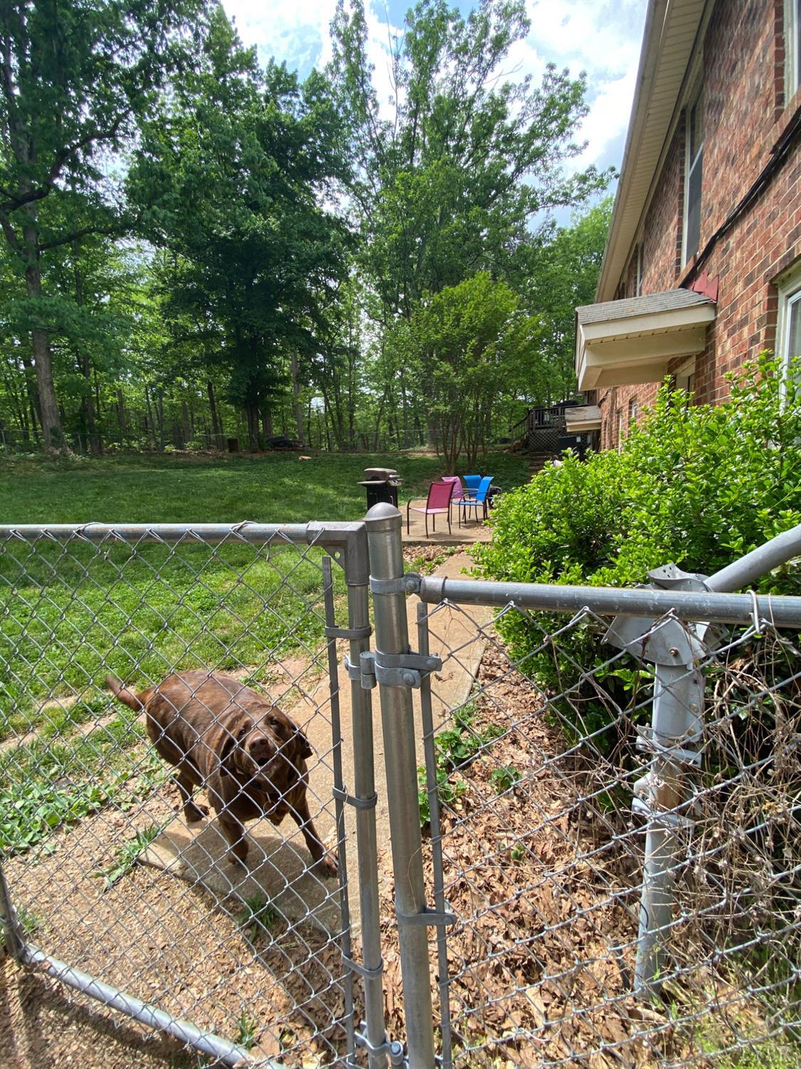 1633 McCrae Road Bedford, VA 24523 - Photo 8 of 42